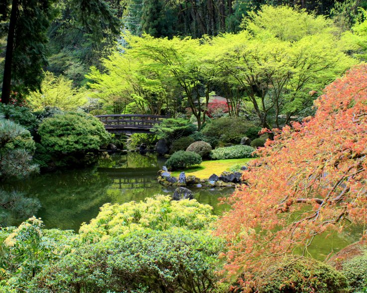 Portland Japanese Garden photo by Faith Smith