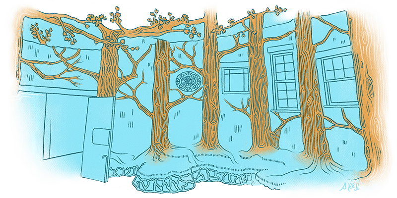 Boise Eliot Neighborhood Illustration