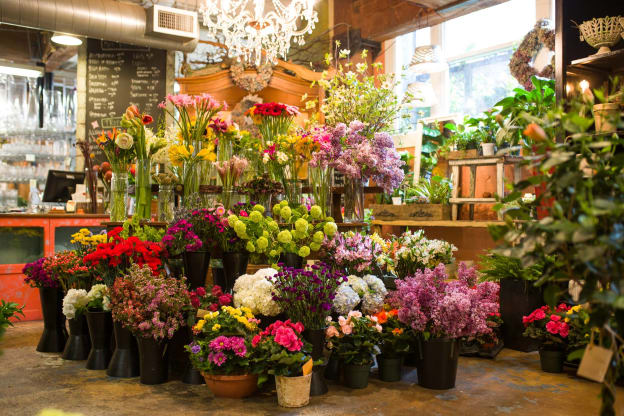 Interior of Old Town Florist
